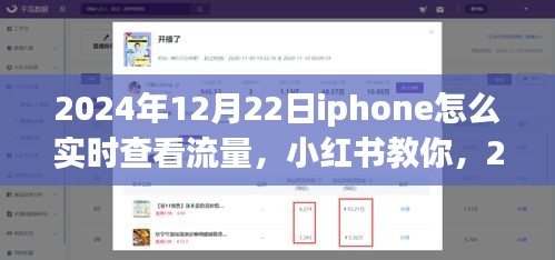 2024年12月22日iPhone實(shí)時(shí)查看流量教程，小紅書教你如何輕松監(jiān)控流量消耗