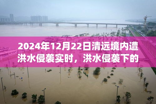 洪水侵襲下的清遠(yuǎn)秘境，美食奇遇與實(shí)時(shí)報(bào)道