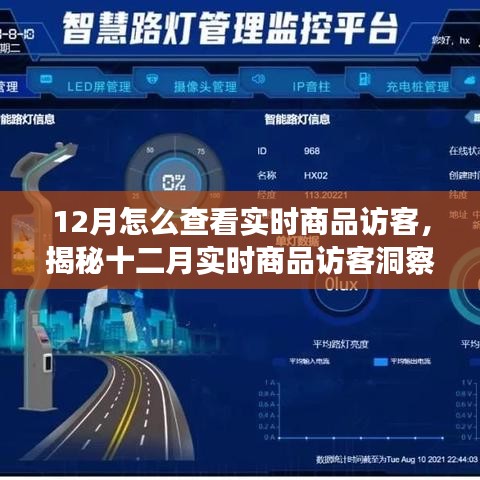 揭秘十二月實時商品訪客洞察，洞悉訪客動態(tài)與商業(yè)進展的秘訣