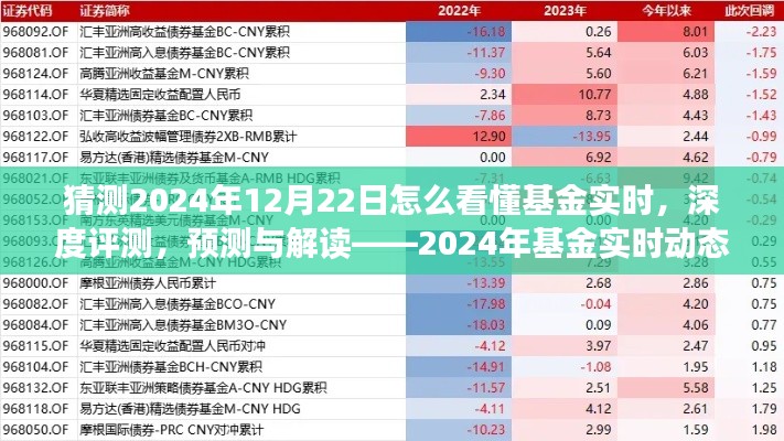 揭秘2024年基金實(shí)時動態(tài)洞察系統(tǒng)，深度評測、預(yù)測與解讀的未來趨勢