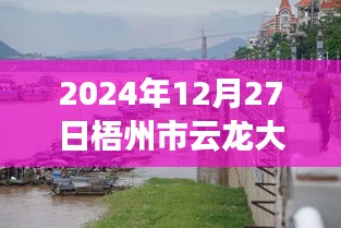 梧州市云龍大橋?qū)崟r水位監(jiān)測指南，以初學(xué)者和進(jìn)階用戶視角看水位監(jiān)測