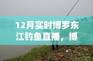 博羅東江畔的釣魚盛宴，12月實(shí)時(shí)釣魚直播開啟！