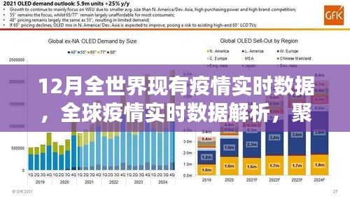 全球疫情實時數(shù)據(jù)解析，聚焦12月疫情動態(tài)與動態(tài)變化