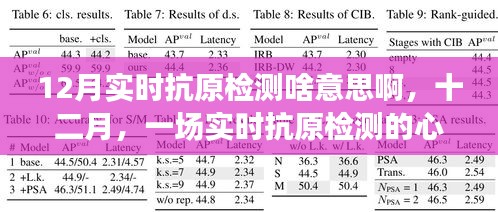 十二月實(shí)時(shí)抗原檢測(cè)，心靈凈化之旅的啟程