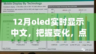 12月OLED中文實(shí)時(shí)顯示，把握變化，點(diǎn)亮未來(lái)——展現(xiàn)你的中文魅力