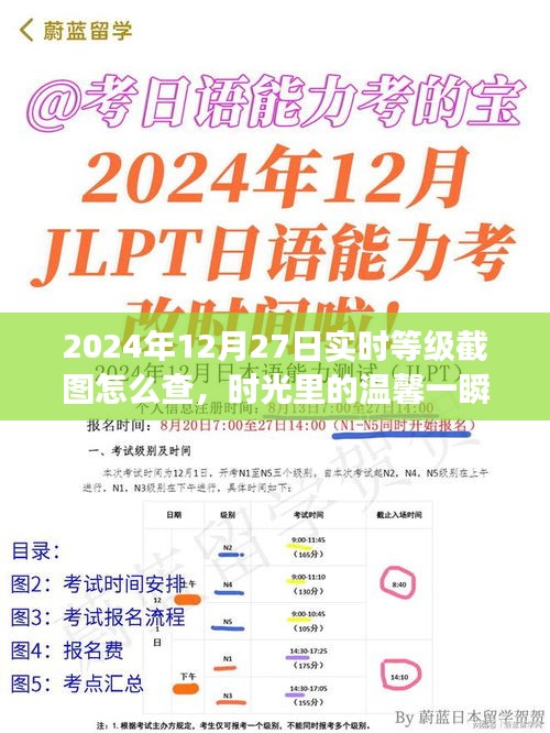 2024年12月27日等級(jí)截圖揭秘，時(shí)光溫馨一瞬，友誼見證時(shí)刻