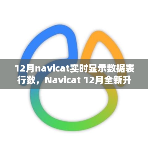 Navicat 12月升級亮點，實時數(shù)據(jù)表行數(shù)顯示，科技助力數(shù)據(jù)管理便捷性