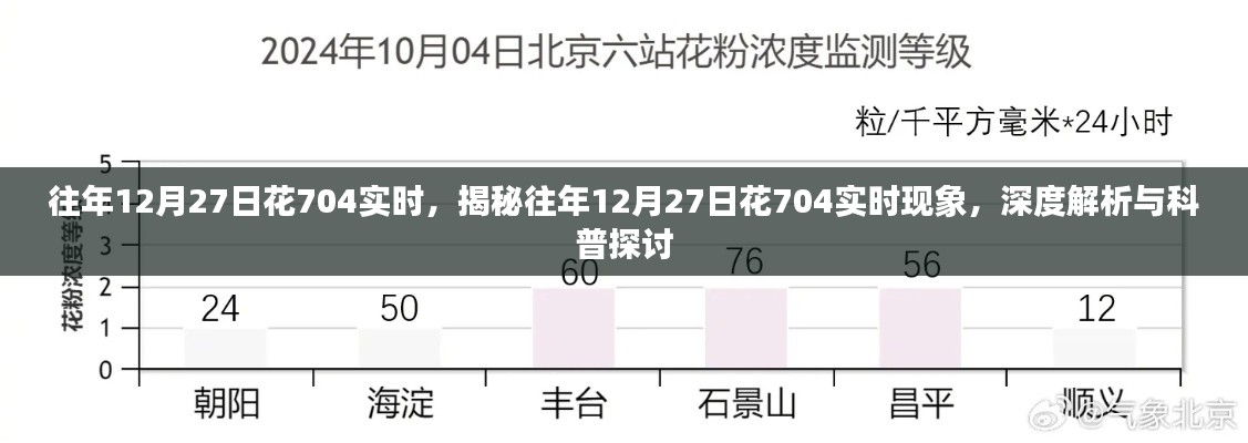 揭秘與深度解析，往年12月27日花704實(shí)時現(xiàn)象探討