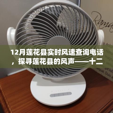 探尋蓮花縣風聲，十二月實時風速查詢電話全解析