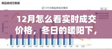 冬陽下的實時成交價格探索之旅，與友共賞奇妙之旅