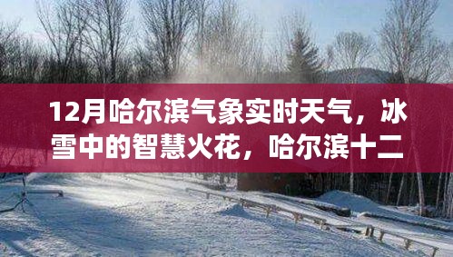 哈爾濱十二月冰雪智慧，氣象實時觀察與啟示錄