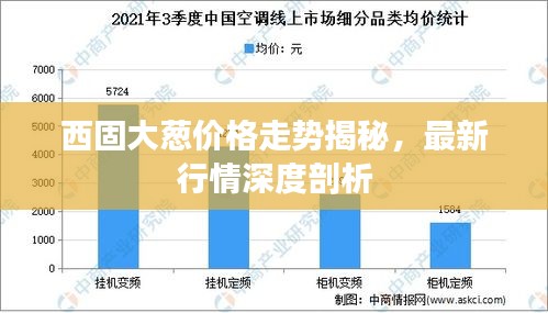 西固大蔥價格走勢揭秘，最新行情深度剖析