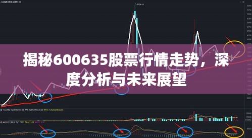 揭秘600635股票行情走勢，深度分析與未來展望