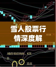 雪人股票行情深度解析，最新價(jià)格走勢(shì)與投資建議