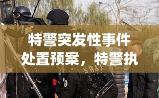 特警突發(fā)性事件處置預案，特警執(zhí)勤突發(fā)事件視頻 