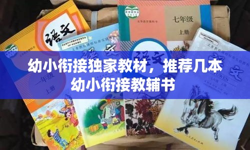 幼小銜接獨(dú)家教材，推薦幾本幼小銜接教輔書 