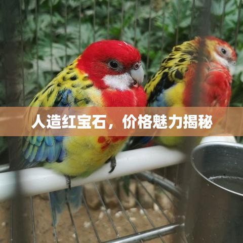 人造紅寶石，價(jià)格魅力揭秘