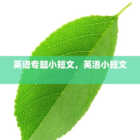 英語(yǔ)專題小短文，英浯小短文 