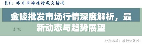 金陵批發(fā)市場行情深度解析，最新動態(tài)與趨勢展望