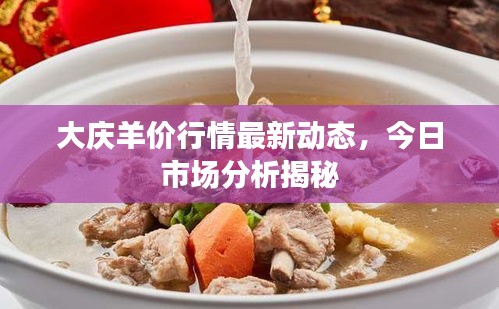 大慶羊價行情最新動態(tài)，今日市場分析揭秘