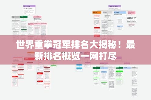 世界重拳冠軍排名大揭秘！最新排名概覽一網(wǎng)打盡