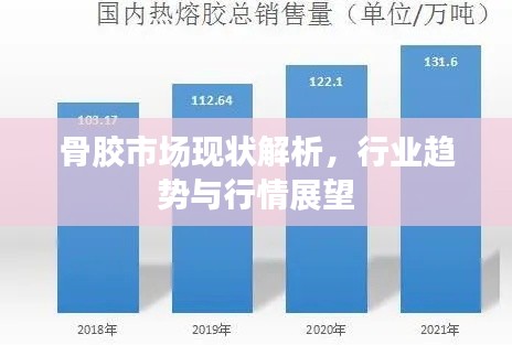 骨膠市場現狀解析，行業(yè)趨勢與行情展望