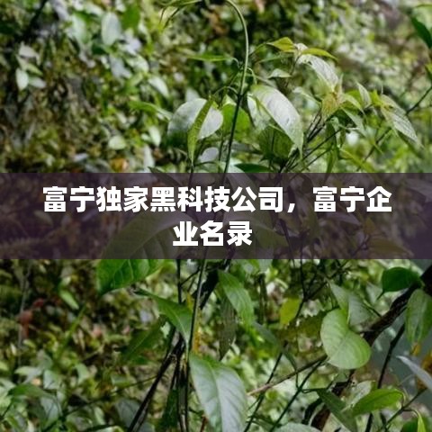 富寧獨(dú)家黑科技公司，富寧企業(yè)名錄 