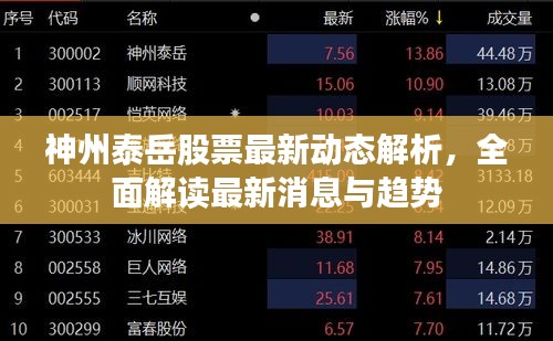 神州泰岳股票最新動(dòng)態(tài)解析，全面解讀最新消息與趨勢(shì)