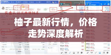 柚子最新行情，價(jià)格走勢(shì)深度解析