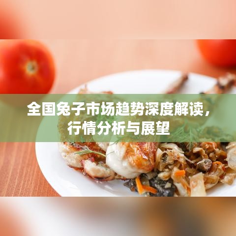 全國(guó)兔子市場(chǎng)趨勢(shì)深度解讀，行情分析與展望