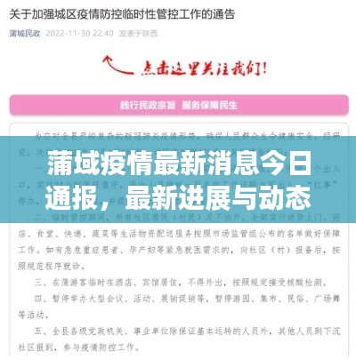 蒲域疫情最新消息今日通報(bào)，最新進(jìn)展與動(dòng)態(tài)關(guān)注