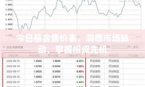 今日基金售價表，洞悉市場脈動，掌握投資先機(jī)