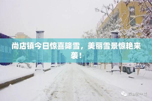 尚店鎮(zhèn)今日驚喜降雪，美麗雪景驚艷來襲！