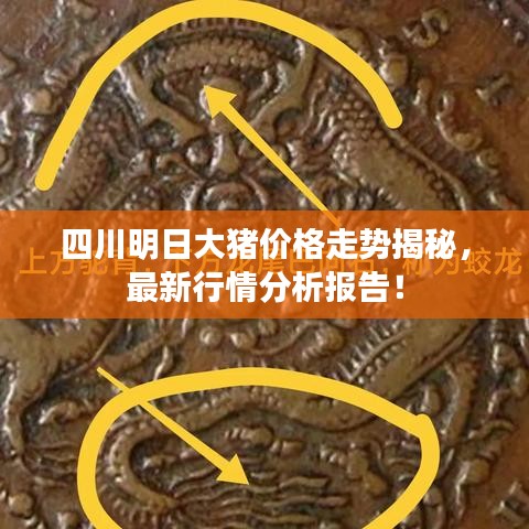 四川明日大豬價(jià)格走勢揭秘，最新行情分析報(bào)告！