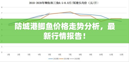 防城港鯽魚(yú)價(jià)格走勢(shì)分析，最新行情報(bào)告！