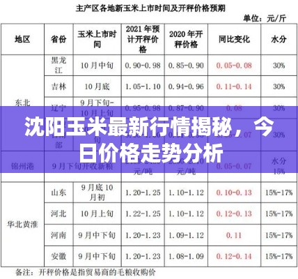 沈陽玉米最新行情揭秘，今日價(jià)格走勢分析