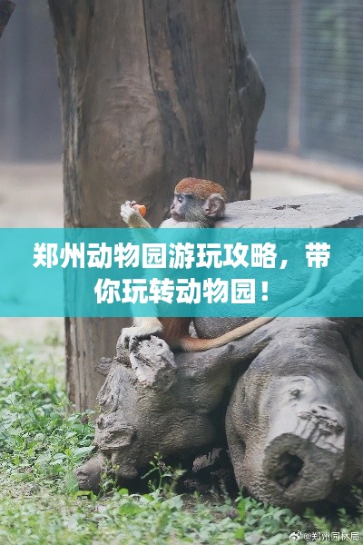 鄭州動(dòng)物園游玩攻略，帶你玩轉(zhuǎn)動(dòng)物園！