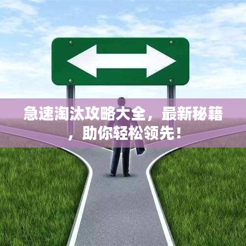 急速淘汰攻略大全，最新秘籍，助你輕松領(lǐng)先！