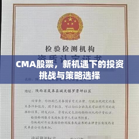 CMA股票，新機(jī)遇下的投資挑戰(zhàn)與策略選擇