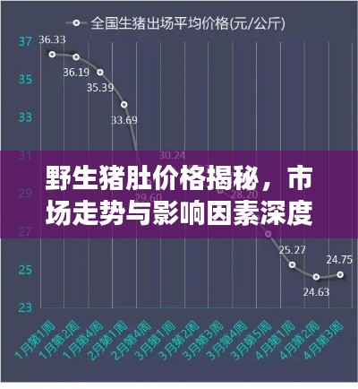 野生豬肚價格揭秘，市場走勢與影響因素深度解析