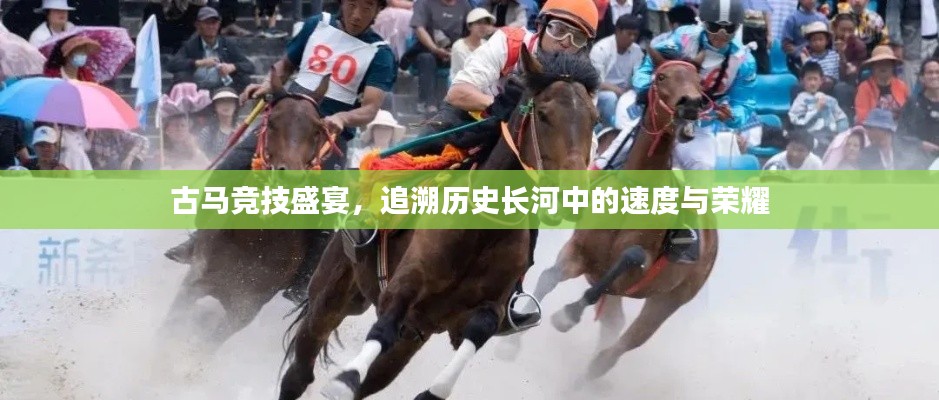 古馬競技盛宴，追溯歷史長河中的速度與榮耀