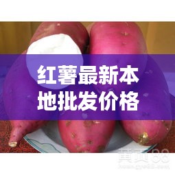 紅薯最新本地批發(fā)價格表曝光