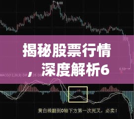 揭秘股票行情，深度解析600761走勢