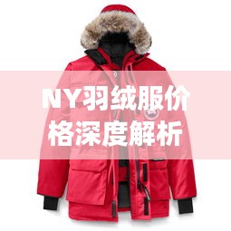 NY羽絨服價(jià)格深度解析，了解真實(shí)價(jià)格，選購(gòu)更明智！