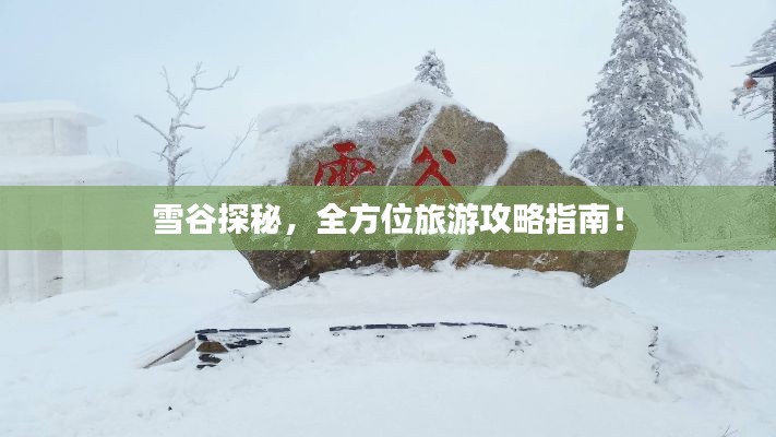 雪谷探秘，全方位旅游攻略指南！