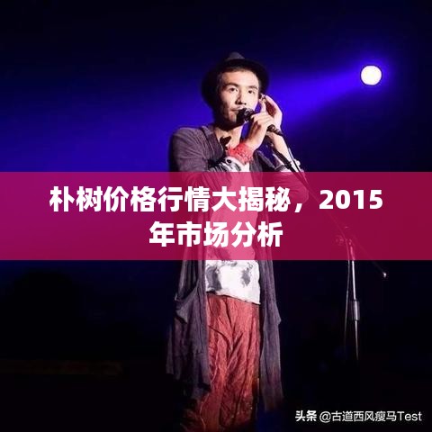 樸樹價格行情大揭秘，2015年市場分析