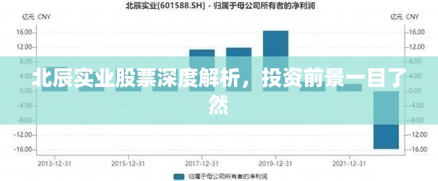 北辰實業(yè)股票深度解析，投資前景一目了然