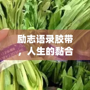 勵志語錄膠帶，人生的黏合劑，引領(lǐng)你走向成功之路