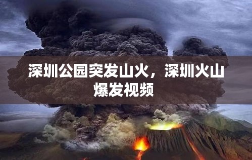 深圳公園突發(fā)山火，深圳火山爆發(fā)視頻 