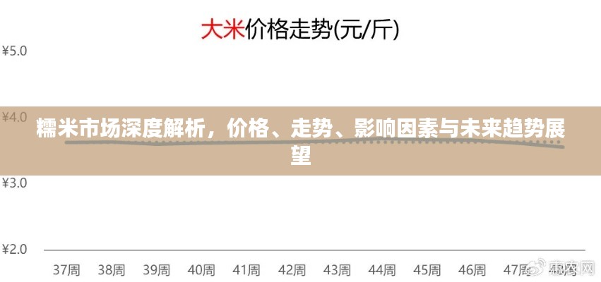 糯米市場深度解析，價格、走勢、影響因素與未來趨勢展望